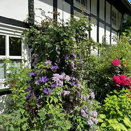 Fachwerkliebe By Interhome 아파트 *