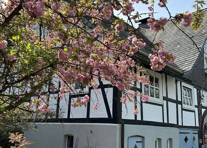 Fachwerkliebe By Interhome Apartment *