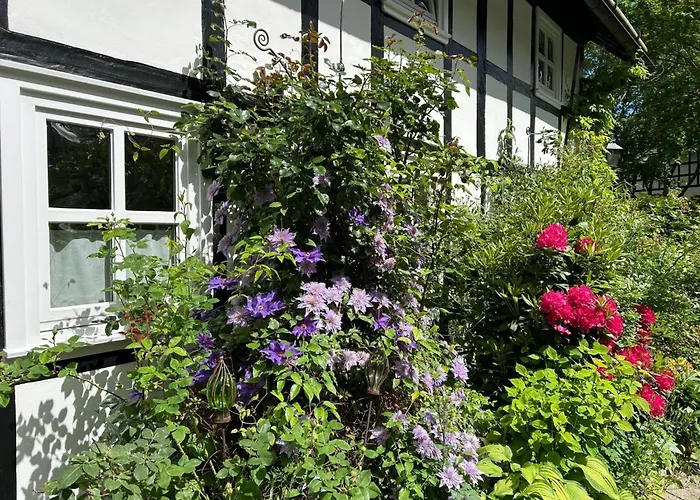 Fachwerkliebe By Interhome Apartment *